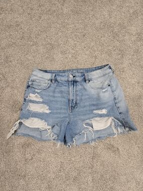 American Eagle Distressed Denim Cutoff Shorts